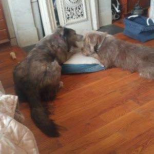 Belinda Smith is a scammer